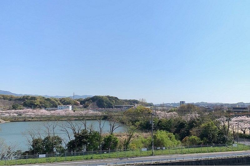 大和タクシー